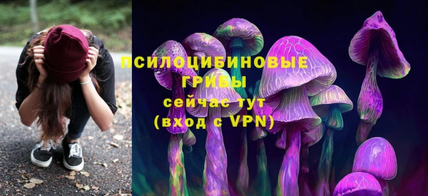 ALPHA PVP Армянск
