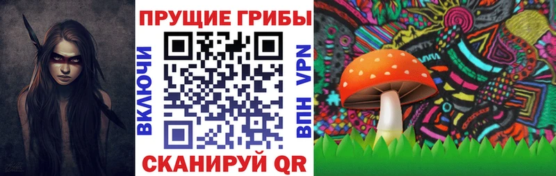 Псилоцибиновые грибы мицелий  Ясный 