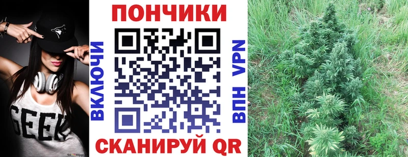 Канабис конопля наркотики Ясный